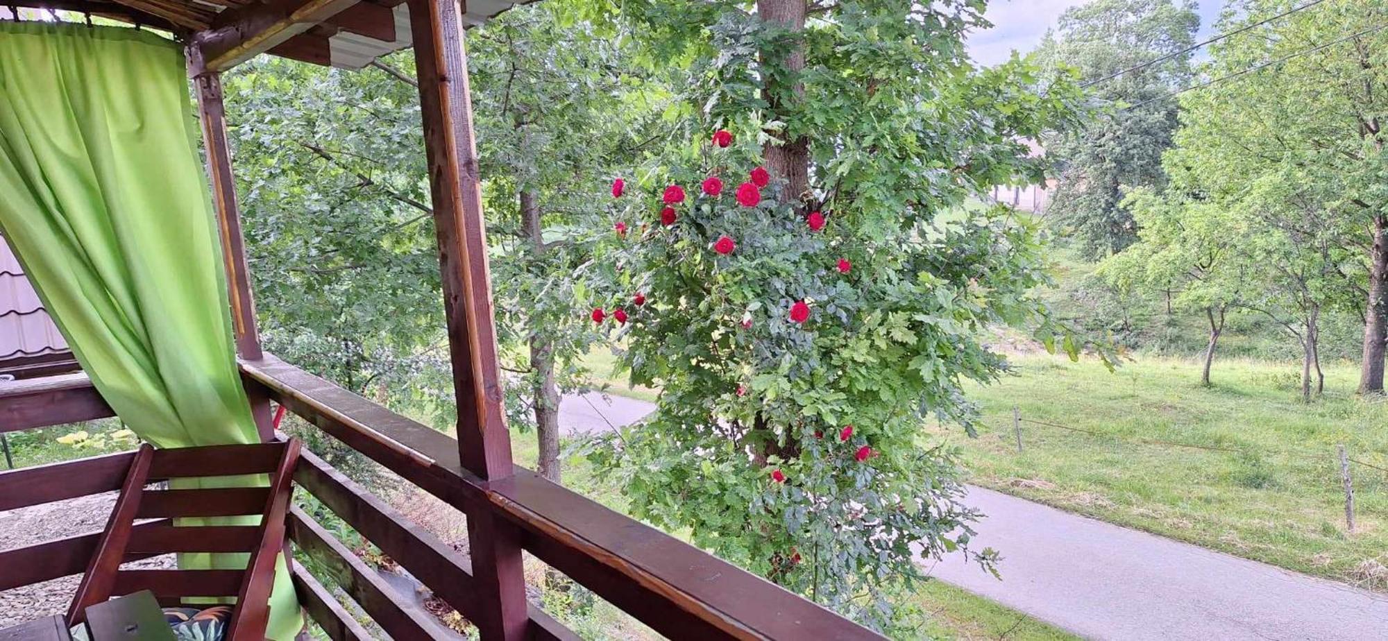Gospodarstwo Agroturystyczne Pod Swierkami Berezka Exterior foto